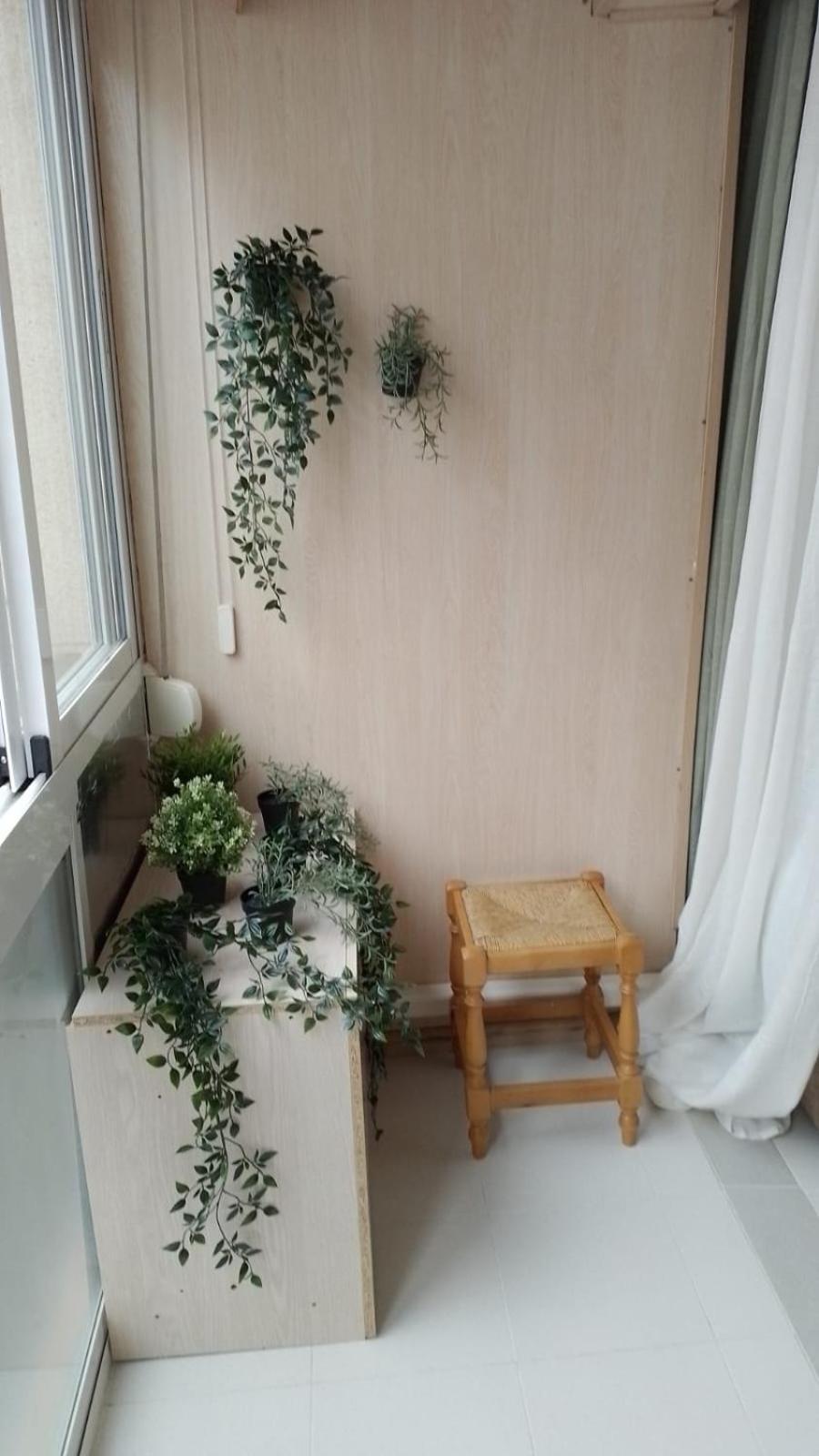 Apartamneto Vicente Blasco Ibanez Daire Torrevieja Dış mekan fotoğraf