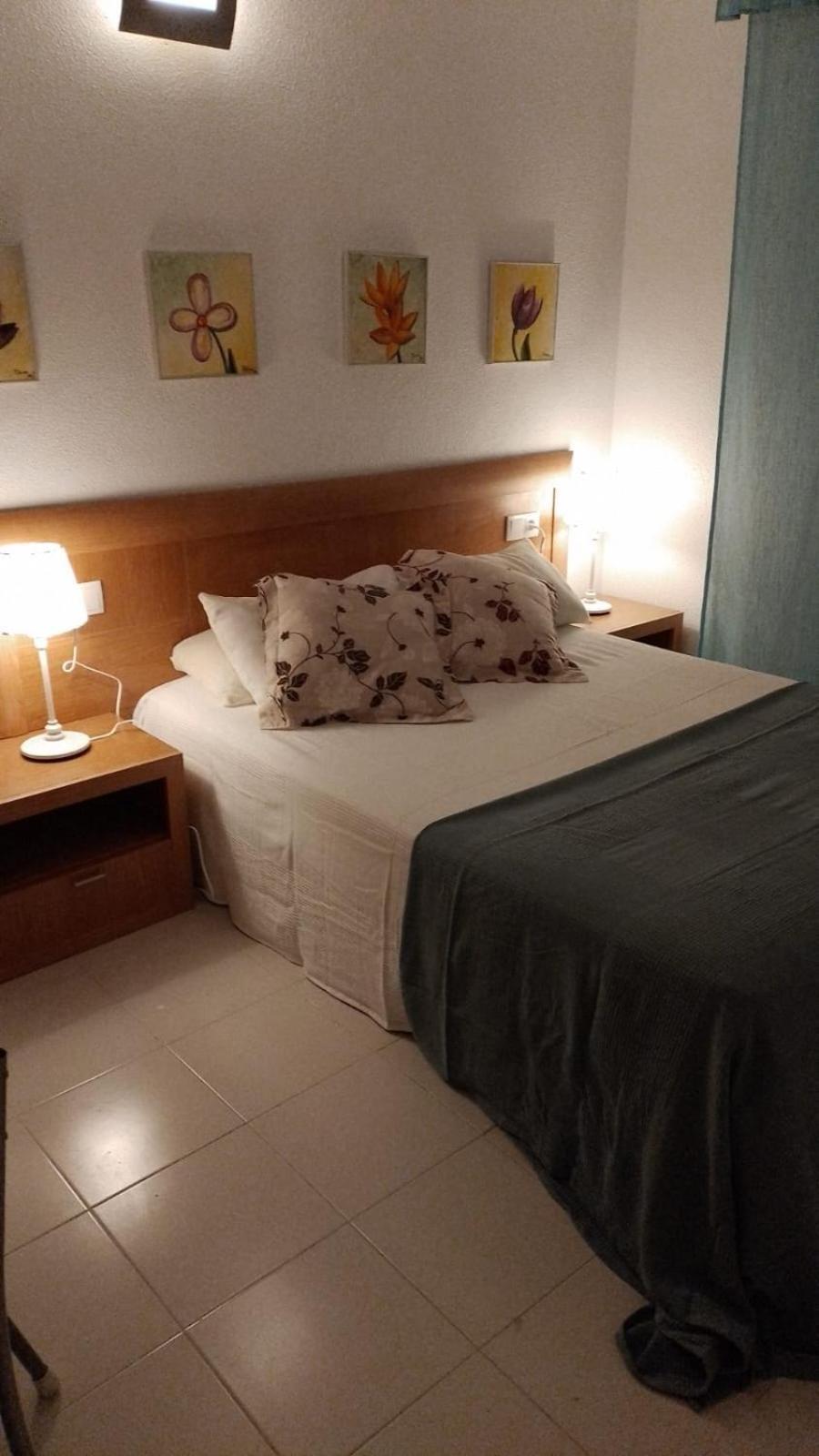 Apartamneto Vicente Blasco Ibanez Daire Torrevieja Dış mekan fotoğraf